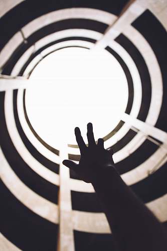 united states person raising hand during daytime white